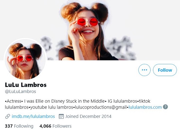 Lulu Lambros Twitter profile