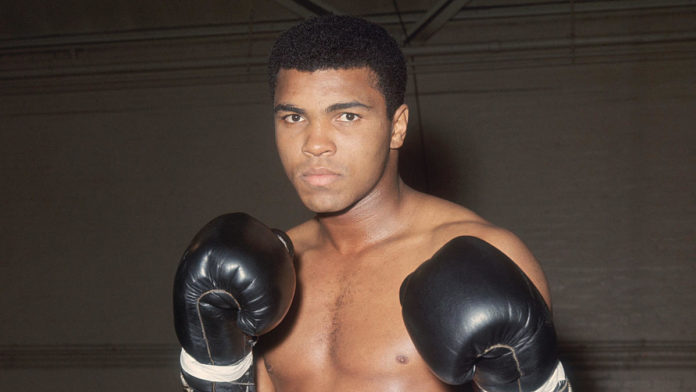 Muhammad Ali Boxer Wiki
