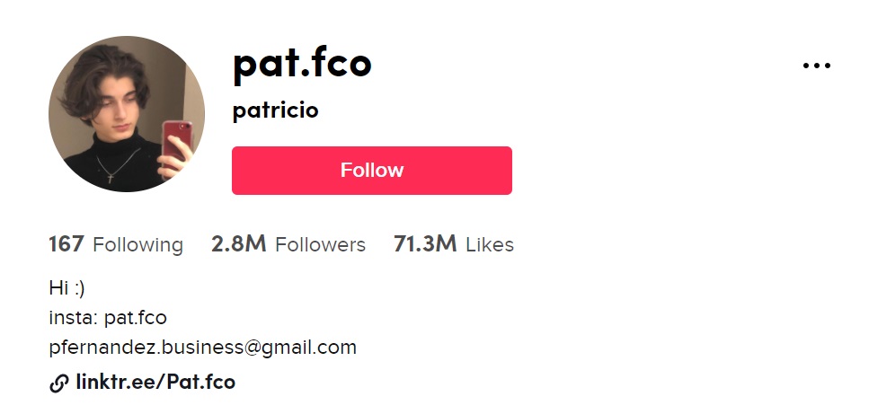 Patricio Fernandez TikTok account has over 2.8 million followers